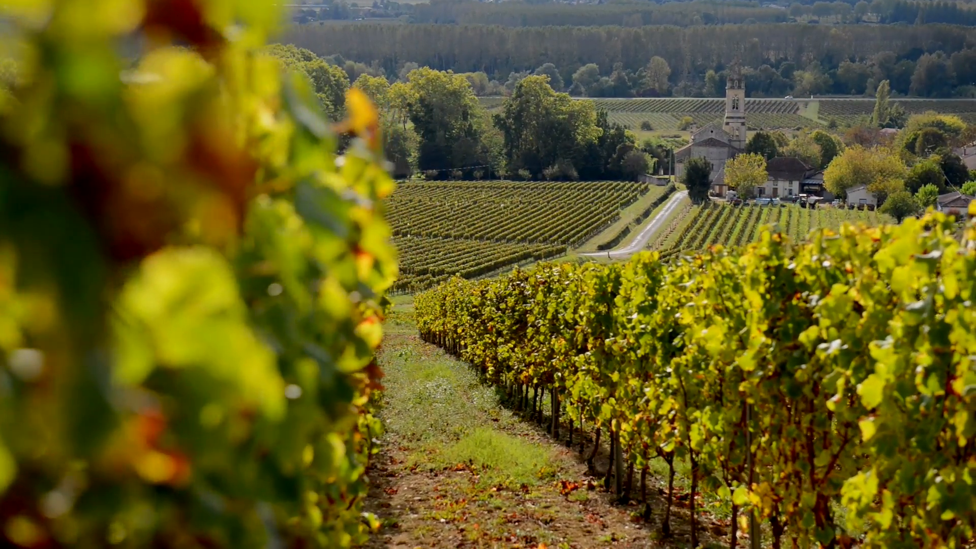 Vinařská oblast v Bordeaux
