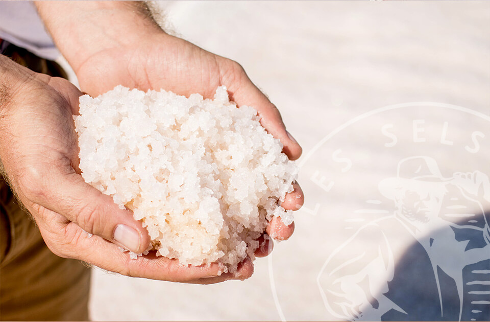 les-salins-de-gruissan